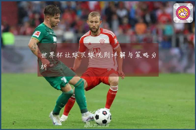 世界杯让球买球规则详解与策略分析